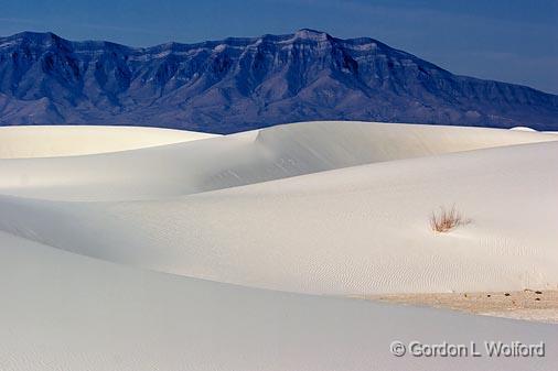 White Sands_32278.jpg - Photographed at the White Sands National Monument near Alamogordo, New Mexico, USA.